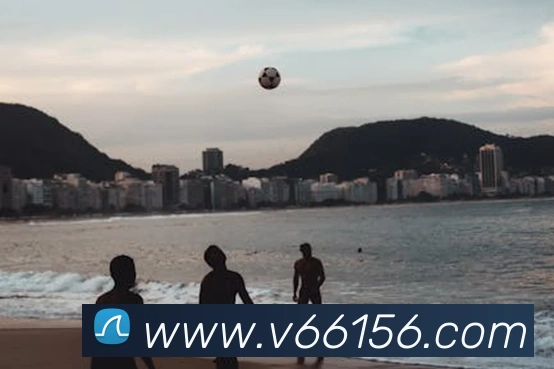 v66平台生态图